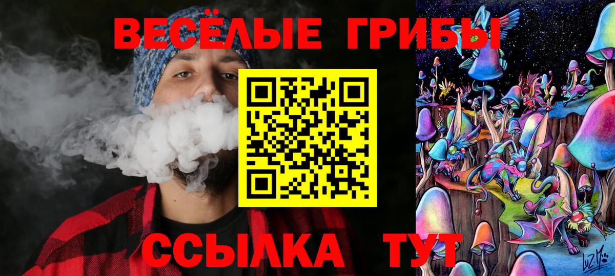 Чайковский  Псилоцибиновые грибы мицелий  Вход с VPN 