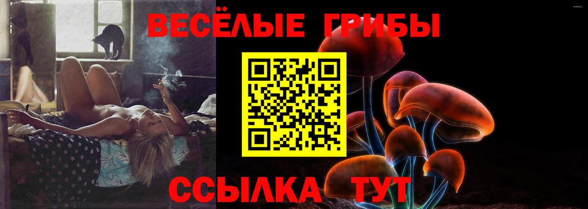 Псилоцибиновые грибы прущие грибы Чайковский